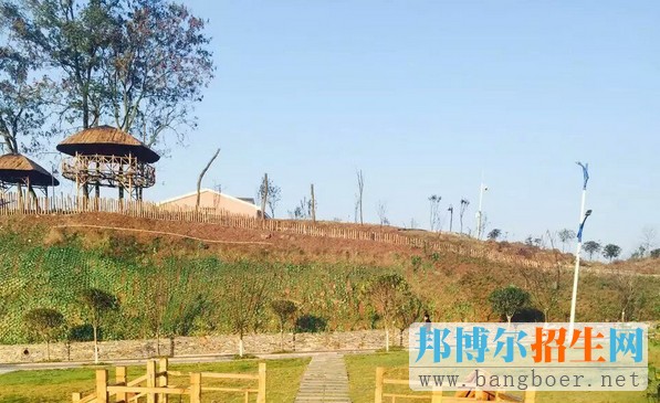 重慶藝術學校2017年報名條件、招生對象