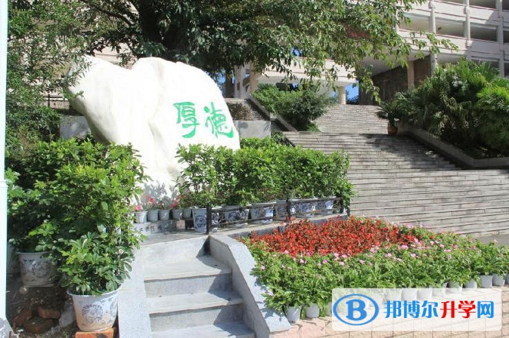 綿陽外國語學校地址在哪里