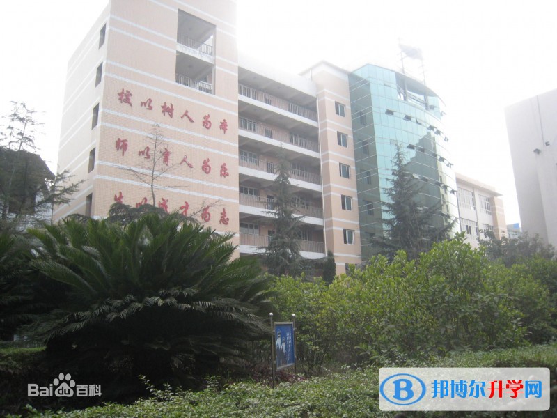 巴中市第二中學學費
