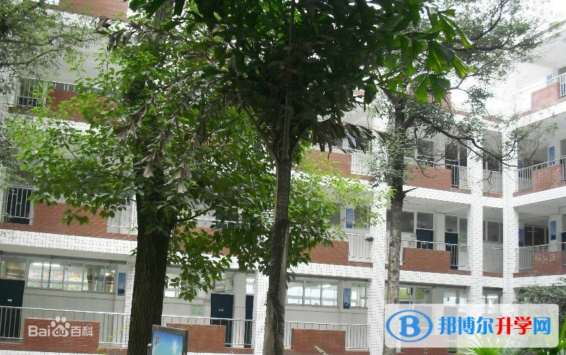 古藺縣藺陽中學校招生計劃