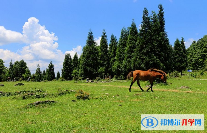 重慶市石柱中學校周邊景點