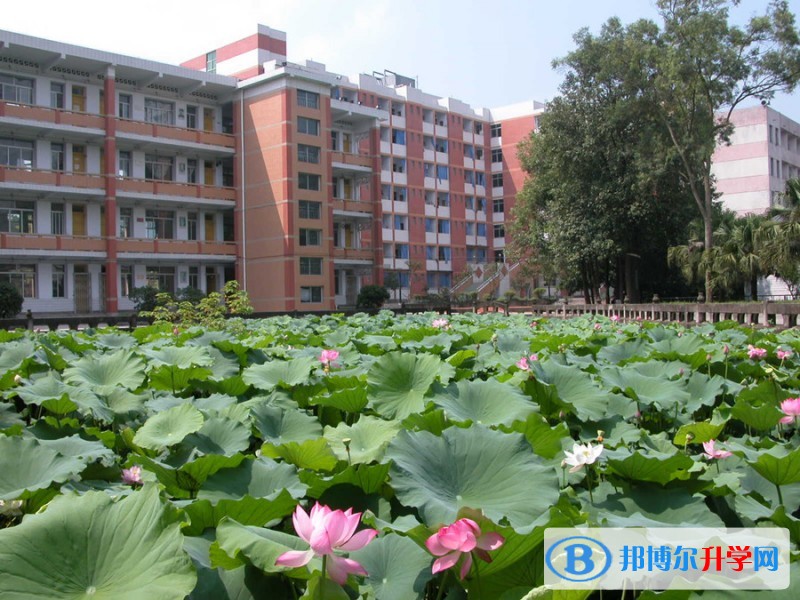 重慶市大足中學怎么樣、好嗎