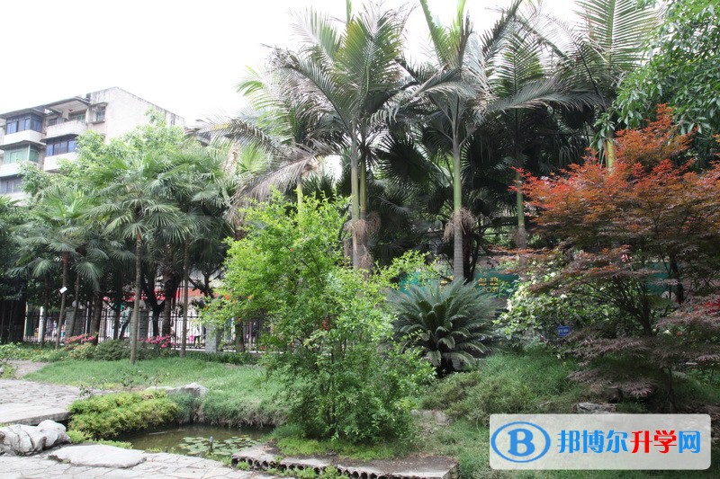 重慶市青木關中學校地址在哪里