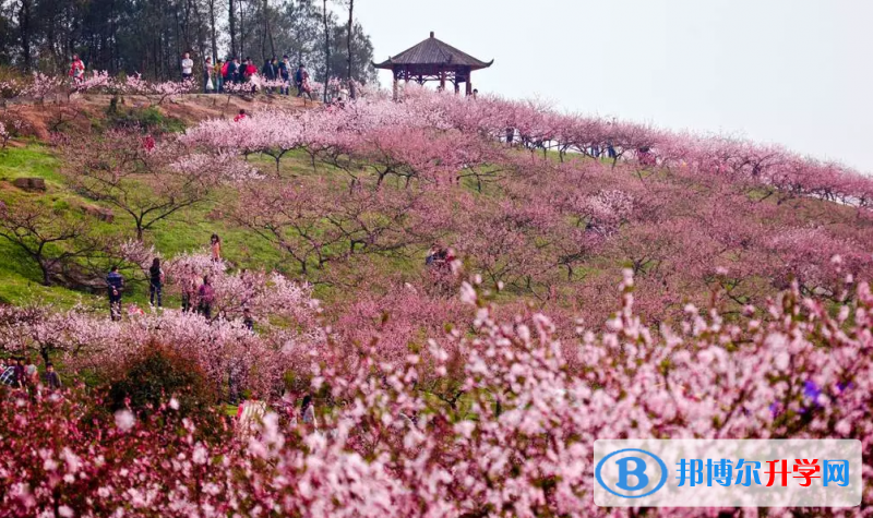 重慶市青木關中學校周邊景點
