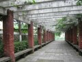 重慶市萬州高級中學2023年招生錄取分數線
