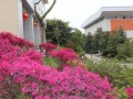 重慶市萬州區純陽實驗學校2025年招生代碼
