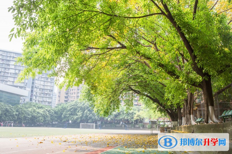 重慶市第八中學校招生辦聯系電話