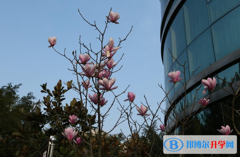 重慶市綦江縣中學地址在哪里