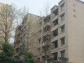 墊江第五中學校2023年招生錄取分數線