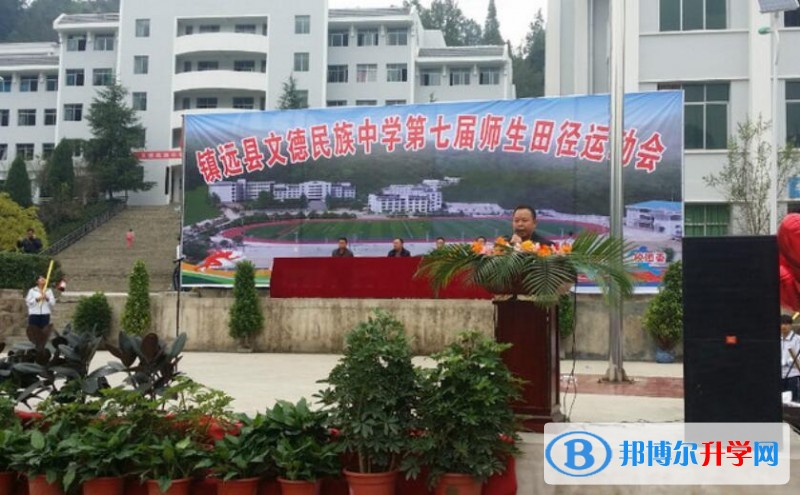 鎮遠文德民族中學導致在哪里