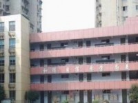 成都市青羊實驗聯合中學2023年招生錄取分數線