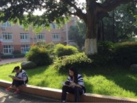 成都市實驗三原外語學校2023年招生錄取分數線