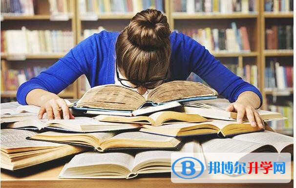 云南中考報名網