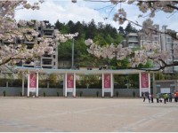 花溪英豪學校2025年學費、收費多少