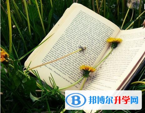 2020貴陽中考網絡應用服務平臺成績查詢