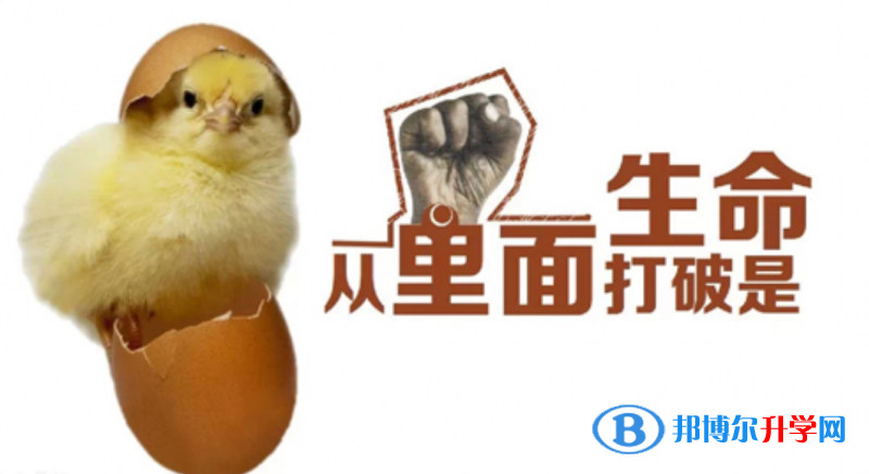 2020年貴陽中考網上學校