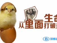 2020年貴陽中考網上學校