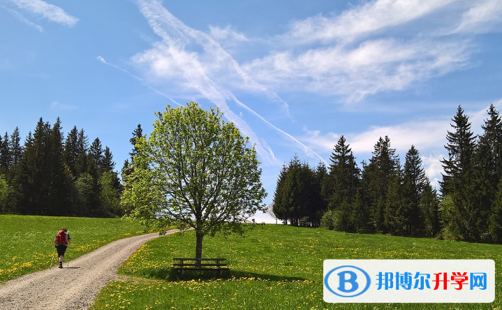 2020年貴陽中考重點復習資料