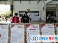 紅河州屏邊縣第一中學2025年招生計劃