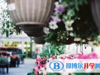 2020年巴中中考準考證丟了怎么辦