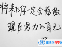 2020年巴中中考網報