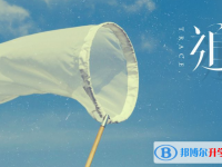 2020年巴中中考重點線預測