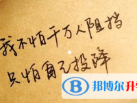 2020年綿陽中考重點復習資料