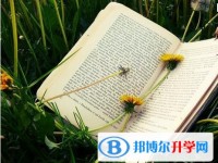 2020年樂山二類學校中考