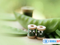2020年樂山中考成績什么時候公布