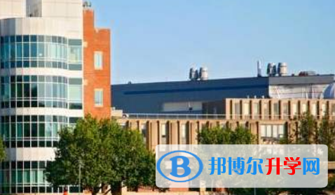 香港猶太教國際學校2023年報名條件、招生要求、招生對象