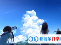 2020年樂山中考在哪查詢成績