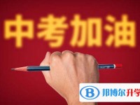 2020年樂山中考網絡應用服務平臺成績查詢
