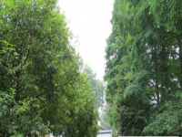 四川沐川中學2025年宿舍條件