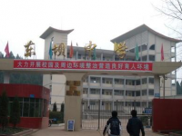 南部東壩中學2023年招生錄取分數線