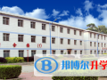 蒼龍國際學校2023年學費、收費多少