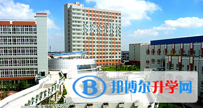 上海金蘋果雙語學校國際部2023年報名條件、招生要求、招生對象