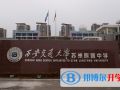 西安交通大學蘇州附屬中學2023年招生簡章