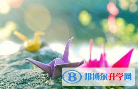2020年畢節中考志愿填法