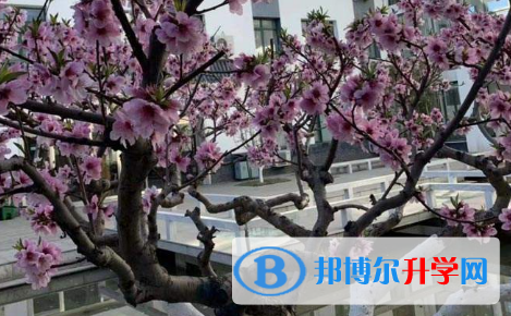 橘郡美國高中(北京校區)2023年學費、收費多少