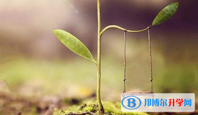 2020年畢節中考網上報考信息平臺
