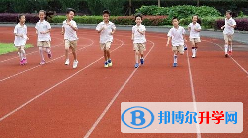 上海新清華博世凱外國語學校2023年報名條件、招生要求、招生對象