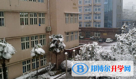 上海外國語大學附屬外國語學校怎么樣、好不好
