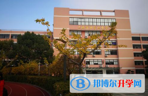 上海田家炳中學國際部怎么樣、好不好