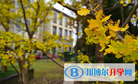 上外賢達國際高中2023年報名條件、招生要求、招生對象