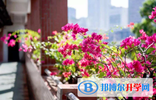 執信中學國際部怎么樣、好不好