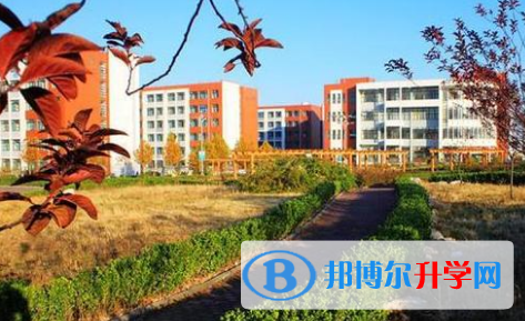 深圳曦城協同國際學校怎么樣、好不好