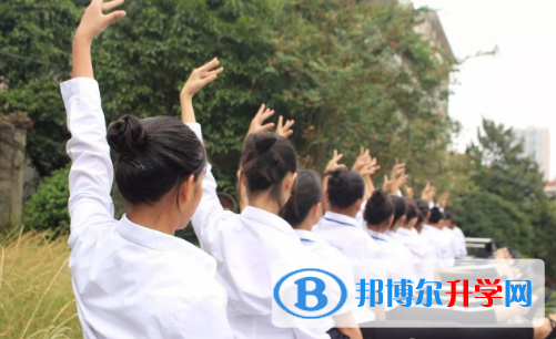 深圳哈博學校2023年報名條件、招生要求、招生對象