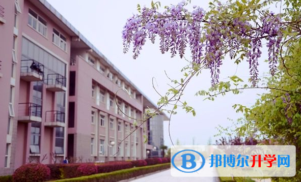 南京財經大學國際經貿學院怎么樣、好不好
