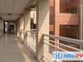 南京外國語學校2023年報名條件、招生要求、招生對象