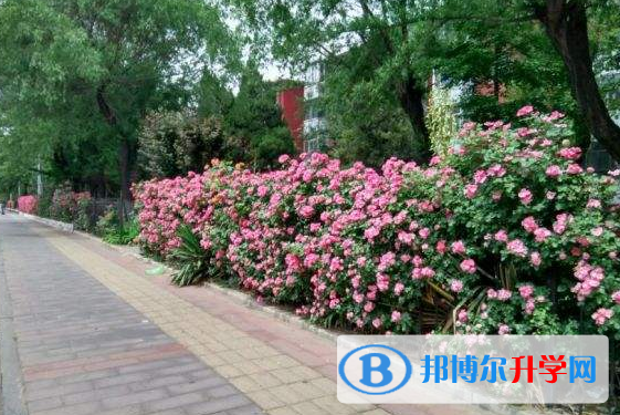 南通士通國際學校初中部怎么樣、好不好